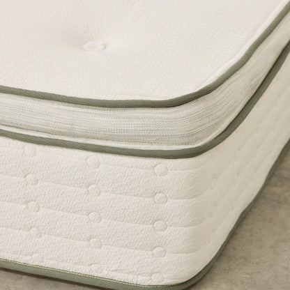 Avocado Green Plush Pillow-Top Mattress