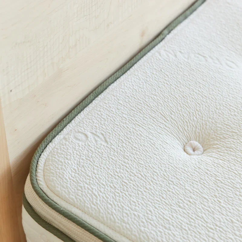 Avocado Green Plush Pillow-Top Mattress