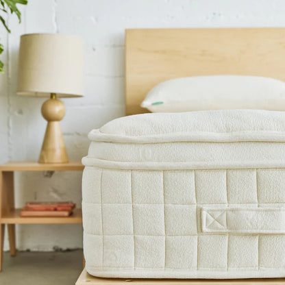Avocado Luxury Organic Mattress Pillow-Top Plush