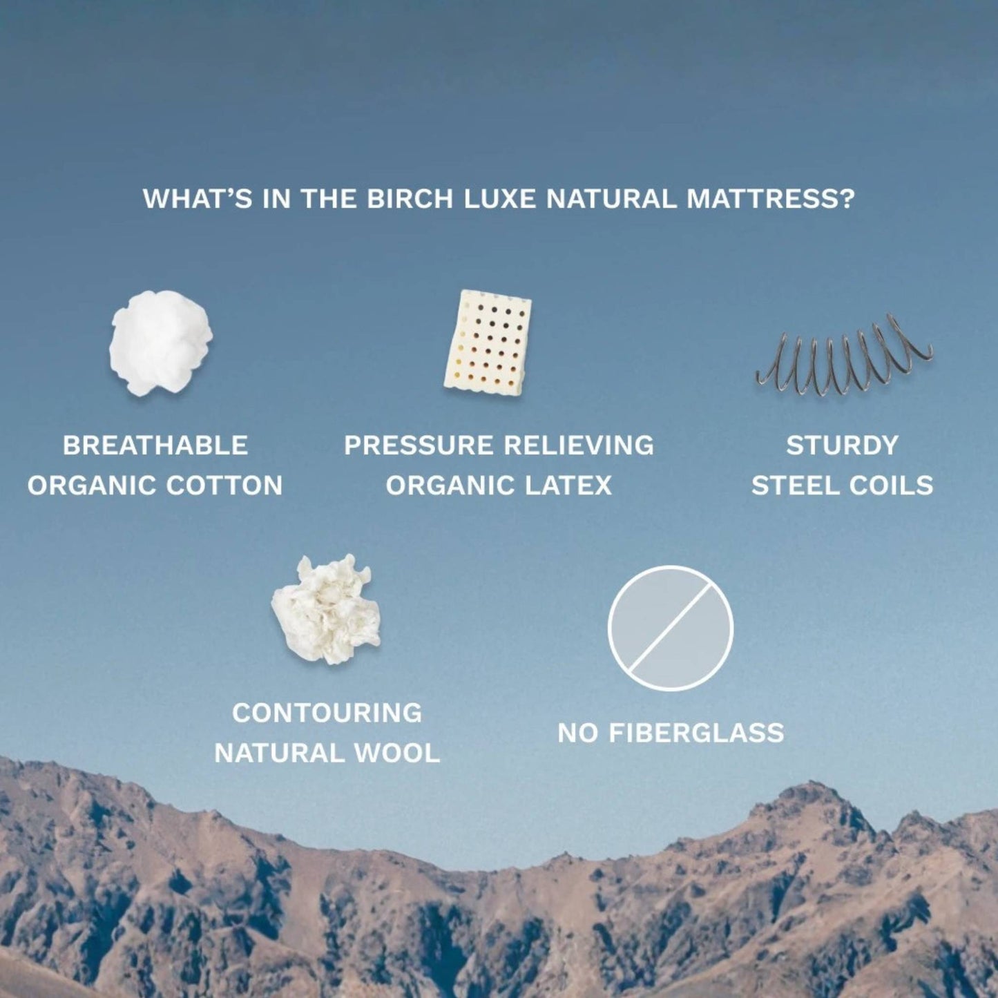 Birch Luxe Natural Mattress