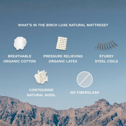 Birch Luxe Natural Mattress