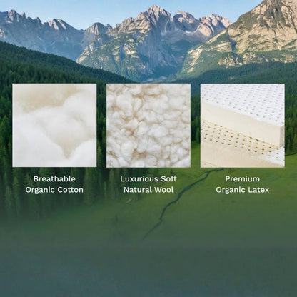 Birch Natural Mattress