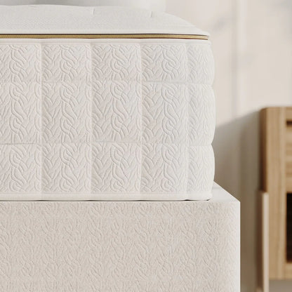 EOS Classic customizable comfort